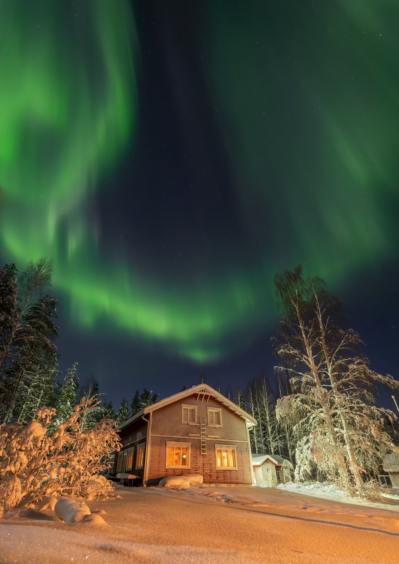 Old Pine Husky Lodge